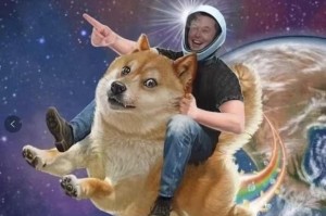 狗狗币哪里交易平台：