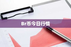 Br币今日行情