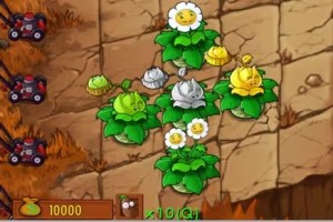 《植物大战僵尸》新植物金银卷心菜登场