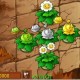《植物大战僵尸》新植物金银卷心菜登场