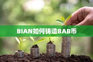 BIAN如何铸造BAB币