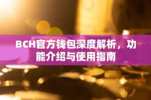 BCH官方钱包深度解析，功能介绍与使用指南