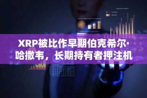 XRP被比作早期伯克希尔·哈撒韦，长期持有者押注机构应用催化剂