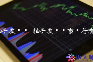 柚子虚拟币事实行情