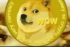 狗狗币中文苹果钱包