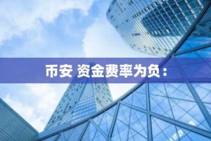 币安 资金费率为负：
