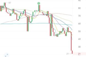 dot币未来价格预测，涨跌分析及数据解读
