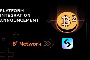 国外比特币app：国外比特币App