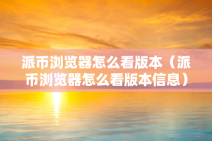 派币浏览器怎么看版本（派币浏览器怎么看版本信息）