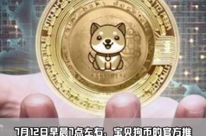 狗币钱包同步加速：狗币钱包同步加速怎么关闭