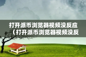 打开派币浏览器视频没反应（打开派币浏览器视频没反应怎么回事）
