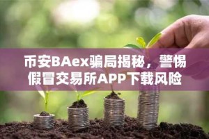 币安BAex骗局揭秘，警惕假冒交易所APP下载风险