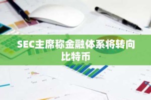SEC主席称金融体系将转向比特币