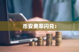 币安费率闪兑：