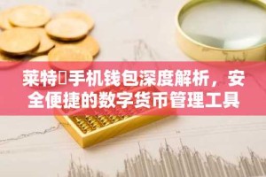 莱特帀手机钱包深度解析，安全便捷的数字货币管理工具