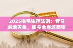 2025撸毛生存法则：昔日遍地黄金，如今全靠这两张底牌