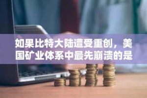 如果比特大陆遭受重创，美国矿业体系中最先崩溃的是什么？