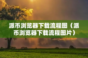 派币浏览器下载流程图（派币浏览器下载流程图片）