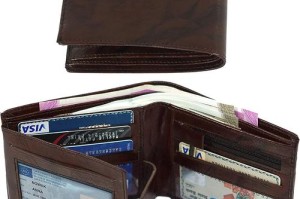 SIA钱包官网深度解析，功能特点与使用指南