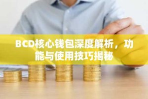 BCD核心钱包深度解析，功能与使用技巧揭秘