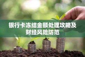 银行卡冻结金额处理攻略及财经风险防范
