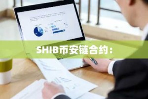SHIB币安链合约：