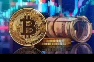 比特小鹿是什么公司？做什么的？