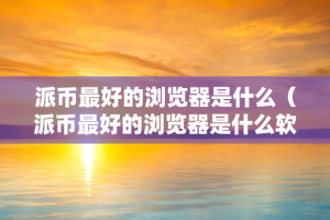 派币最好的浏览器是什么（派币最好的浏览器是什么软件）