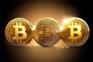 fil币今日实时价格，fil币价格走势分析