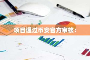 项目通过币安官方审核：