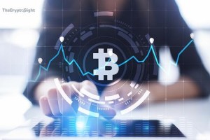 Zcash钱包查询地址详解，使用指南与最新资讯