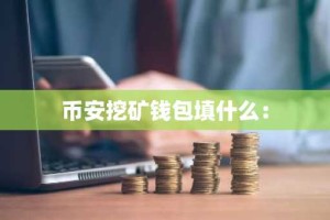 币安挖矿钱包填什么：