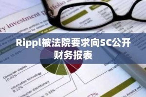 Rippl被法院要求向SC公开财务报表