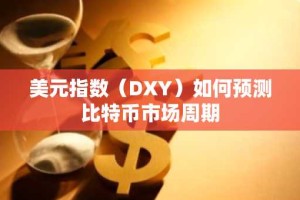 美元指数（DXY）如何预测比特币市场周期
