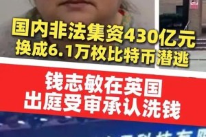 比特币非法交易：比特币非法交易案例