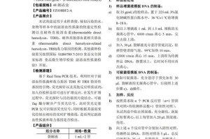 BFX交易平台深度解析，功能与特色全揭秘