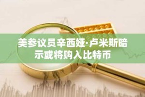 美参议员辛西娅·卢米斯暗示或将购入比特币