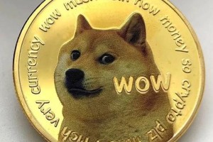 多江恩狗狗币-江恩狗狗币太空狗