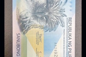 菲律宾币看交易所：菲律宾的交易货币是什么