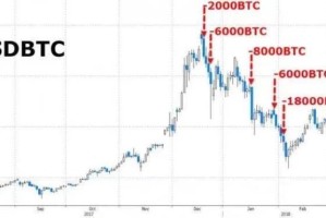 黑币钱包地址解析，安全使用与风险防范