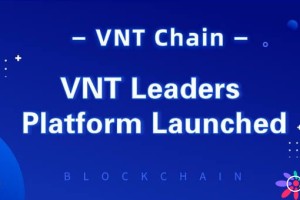 维特链是什么？一文了解VNT币(维特链)