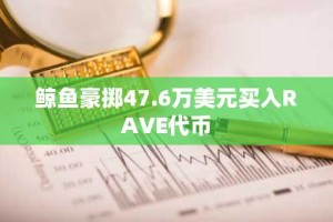 鲸鱼豪掷47.6万美元买入RAVE代币