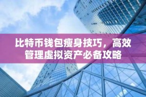 比特币钱包瘦身技巧，高效管理虚拟资产必备攻略