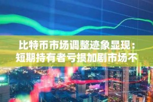比特币市场调整迹象显现：短期持有者亏损加剧市场不确定性