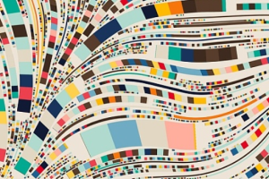 狗狗币的密钥在哪里