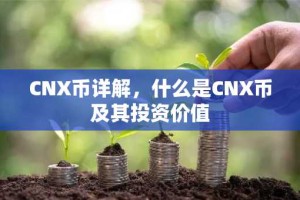 CNX币详解，什么是CNX币及其投资价值
