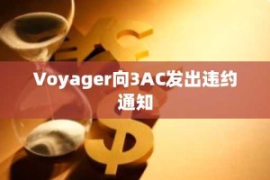 Voyager向3AC发出违约通知