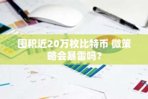 囤积近20万枚比特币 微策略会暴雷吗？