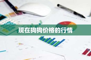现在狗狗价格的行情