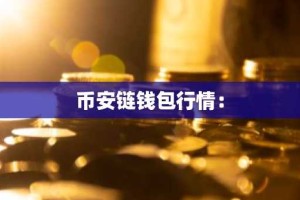 币安链钱包行情：